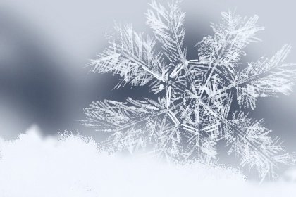 2021年农历四月初五老黄历宜忌 今天日子好吗