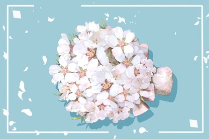 捧花2