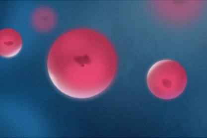 腊月什么时候可以扫房 正月哪天不能扫房子