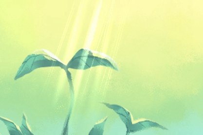 正月大年初二吃汤圆吗