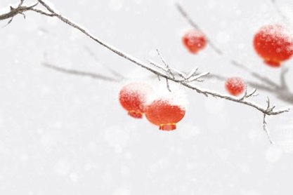 正月初八财神方位2021年 大年初八财神 在哪个方向