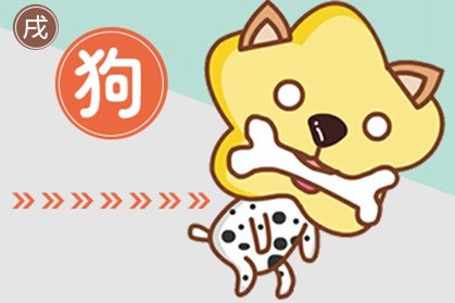 2021年3月属狗的婚姻感情走势