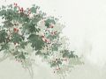 为什么说女孩破相命好 小时候破相之人必有大相