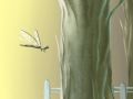 春分二候的花信  风吹开了梨花是什么意思