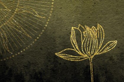 莲花