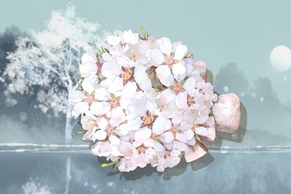 家里什么风水影响婚姻 影响感情的风水
