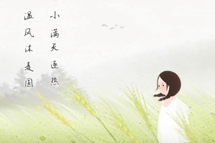 小满节气手抄报最简单最漂亮的
