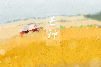 芒种是北方什么作物的收获期