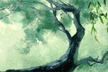 沙中土命适合养花吗 养什么植物最好