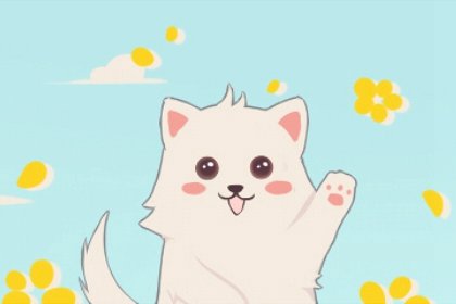 八大风水摆件谁排第一 转运符的效果好