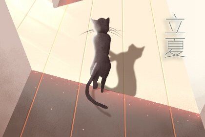 立夏鹅毛住什么意思 下一句是什么