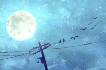 男女犯铁扫帚的月份 命运如何