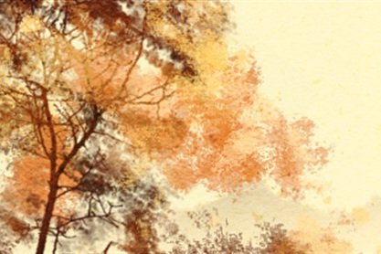 女孩犯铁扫帚子时出生的好不好