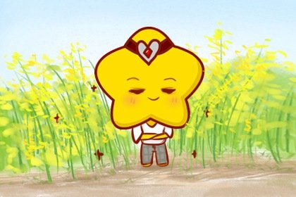 2021年星座桃花运排行榜 你进前三了吗