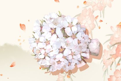 催桃花运最快的方法風水 增加桃花运的方法