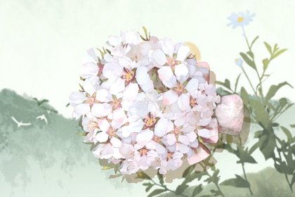 女人是火命和什么男的结婚  关系融洽