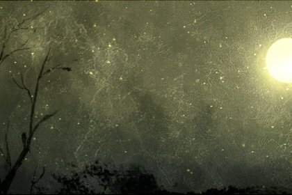 端午节的由来和风俗 这天有什么习俗