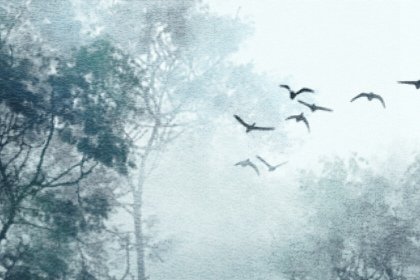 2021年端午节什么时候过节 插艾叶