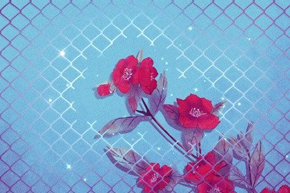 男火女水的夫妻命运化解 财运良好