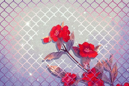 结婚37