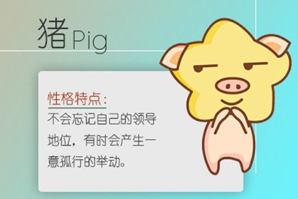 2007年属猪的男孩是什么命 幸运数字和颜色