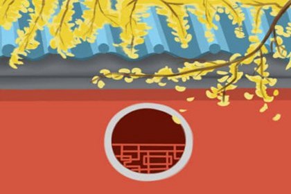 客厅摆放干花有什么风水讲究