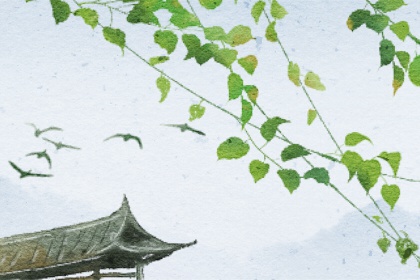 夏至的句子有哪些 短句唯美