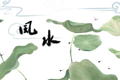 植物可以养在卫生间吗 有哪些可以养的 影响风水吗