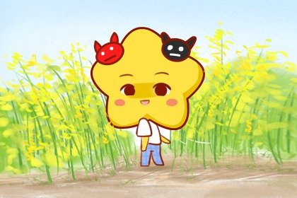 双子座男生和摩羯座女生般配吗