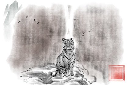 属虎几月命苦  几月出生最好