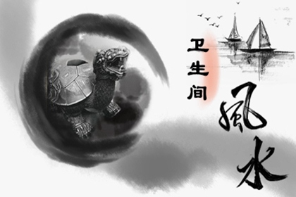 卫生间应该如何摆放摆件 可以摆什么 不能摆什么