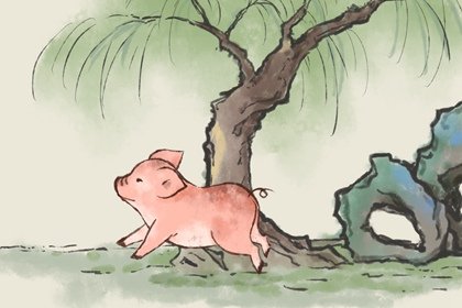 爸爸属猪孩子属虎好不好  会不会合得来