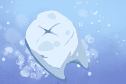 爱牙日是哪一年开始实施的 开始于哪一年