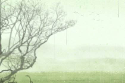 谷雨是二十四节气最后一个节气吗 谷雨的起源大有来头