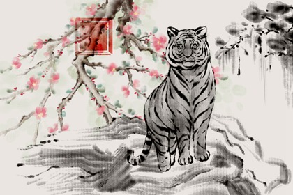 生肖虎女2023年健康运好不好 整体理想没什么疾病困扰