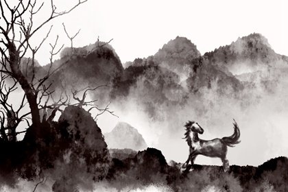 生肖马出生在几月份,从不勾心斗角,好人有善报