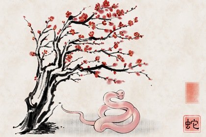 2025年命好吗 属蛇人2025年运势详细解析