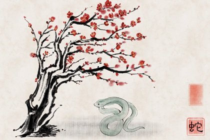 2023属蛇34岁已婚女运气  财运飞升事业顺利