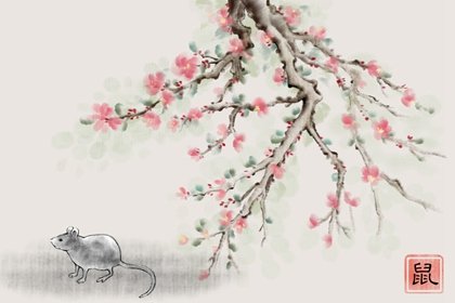 十二生肖智商排行榜 太准了