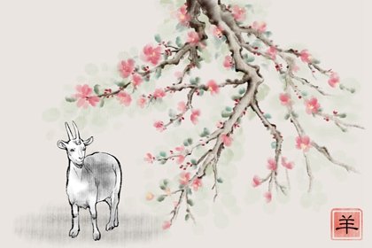 79年属羊女命2023年恋爱桃花 44岁兔年婚姻运