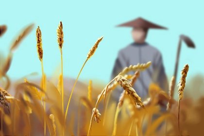收获节是哪个国家的 马来西亚