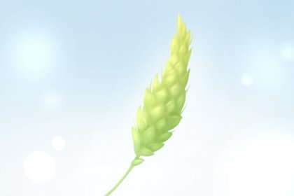 龙头节吃什么最好  春卷油炸糕