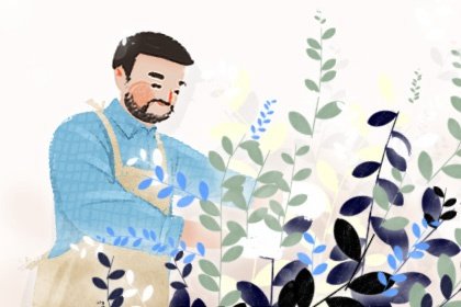 2022年植树节是我国的传统节日吗 美国的植树节是怎么样的
