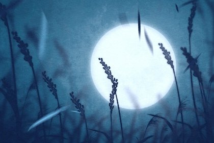 平安夜哪一天 平安夜送什么花比较好