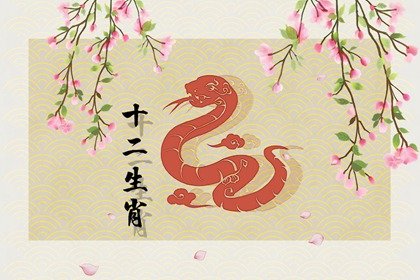 2025年啥命 2025年属蛇一生命运分析