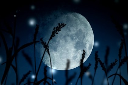 中国四大鬼节 四大鬼节哪个最恐怖