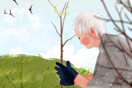 植树节5无字