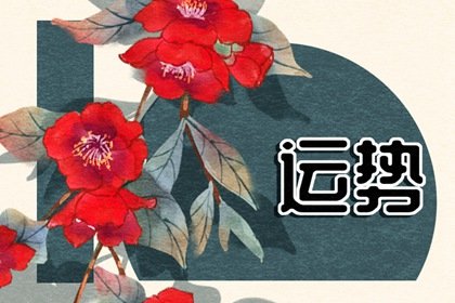 第一星运 小易占星2025年周运02.17-02.23