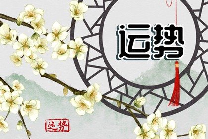 苏珊米勒 今日星座运势查询2025.1.31