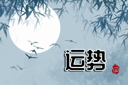 第一运程 2025年2月3日十二生肖运势解析
